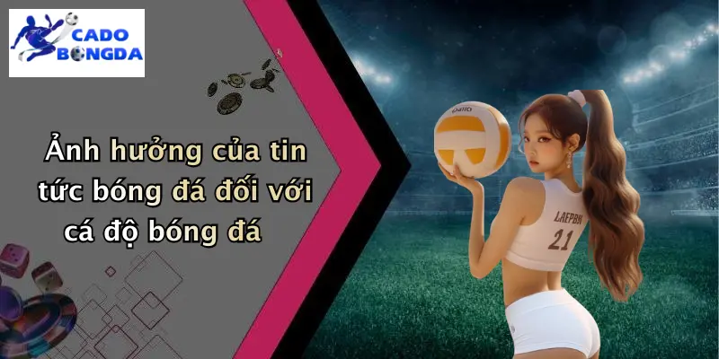 Ảnh hưởng của tin tức bóng đá đối với cá độ bóng đá