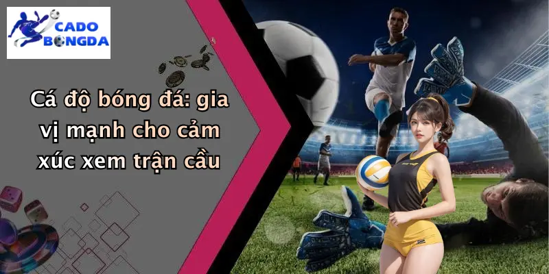 Trực tiếp bóng đá 3 Trực Tiếp Bóng Đá