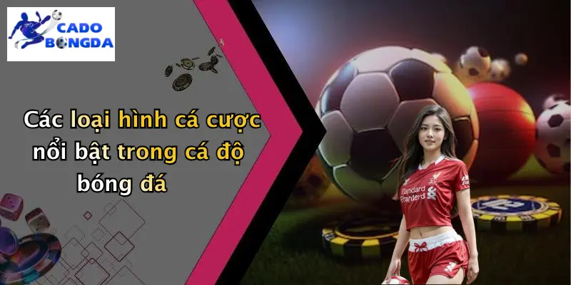 Giới thiệu 2 Các loại hình cá cược nổi bật trong cá độ bóng đá