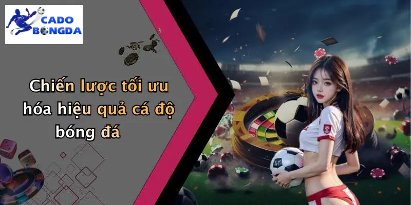 Cá Độ Bóng Đá