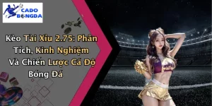 Kèo Tài Xỉu 2.75: Phân Tích, Kinh Nghiệm Và Chiến Lược Cá Độ Bóng Đá