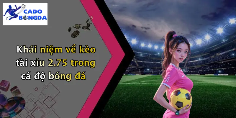 Khái niệm về kèo tài xỉu 2.75 trong cá độ bóng đá