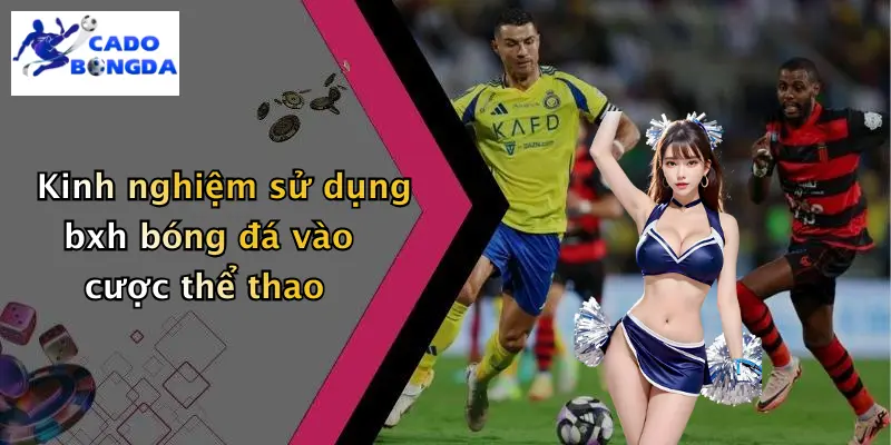 Kinh nghiệm sử dụng bxh bóng đá vào cược thể thao