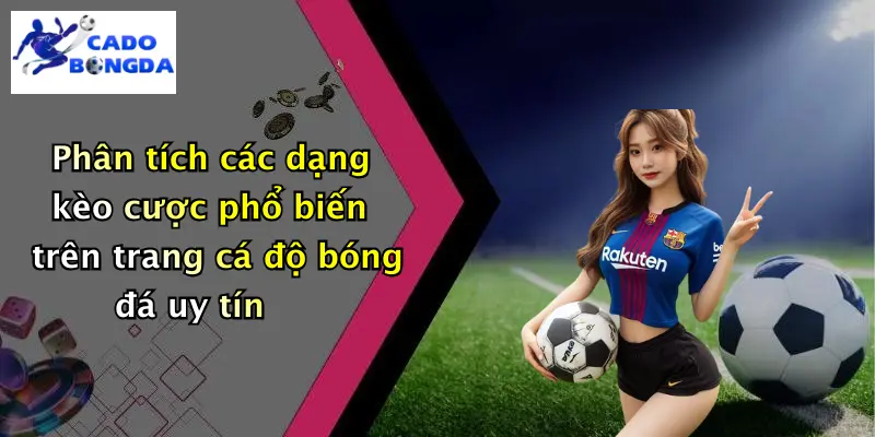 Cá Độ Bóng Đá