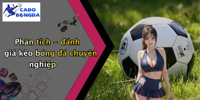 Phân tích - đánh giá kèo bóng đá chuyên nghiệp