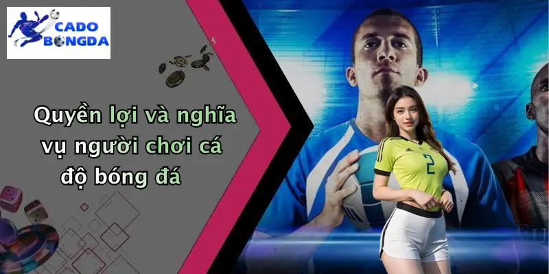 Quyền lợi và nghĩa vụ người chơi cá độ bóng đá