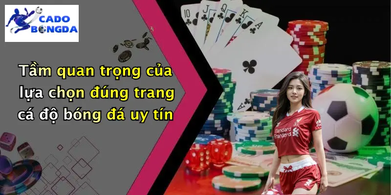 Cá Độ Bóng Đá