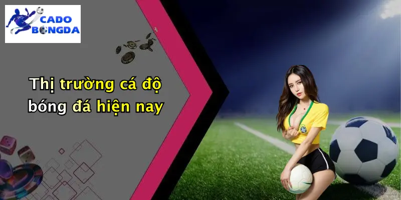 Thị trường cá độ bóng đá hiện nay