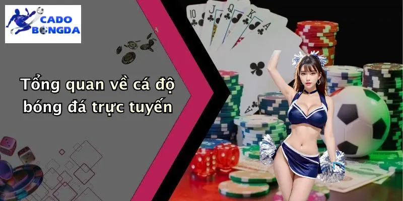 Cá Độ Bóng Đá