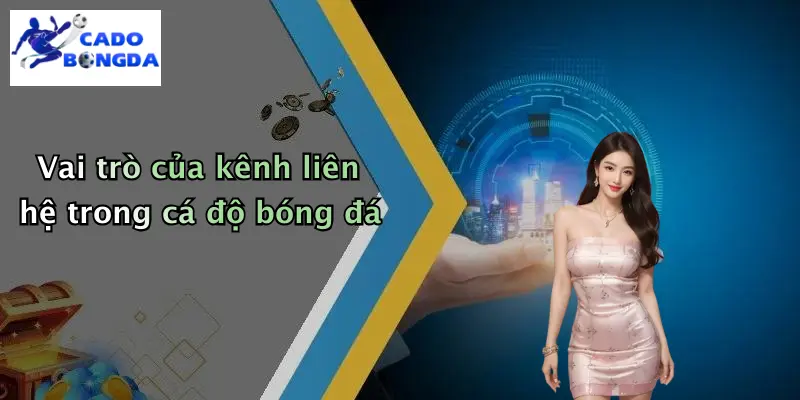 Liên hệ 1 Vai trò của kênh liên hệ trong cá độ bóng đá