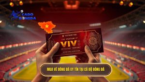 Mua vé bóng đá đội tuyển Việt Nam ở đâu? Hướng dẫn chi tiết nhất