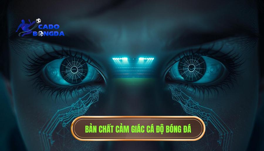 1. Bản chất của "cảm giác" trong cá độ bóng đá là gì?