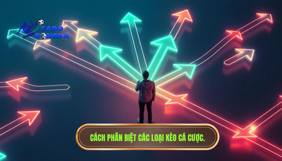 2. Phân tích các loại kèo thường gây nhầm lẫn