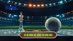 Đừng tin 100% vào cảm giác